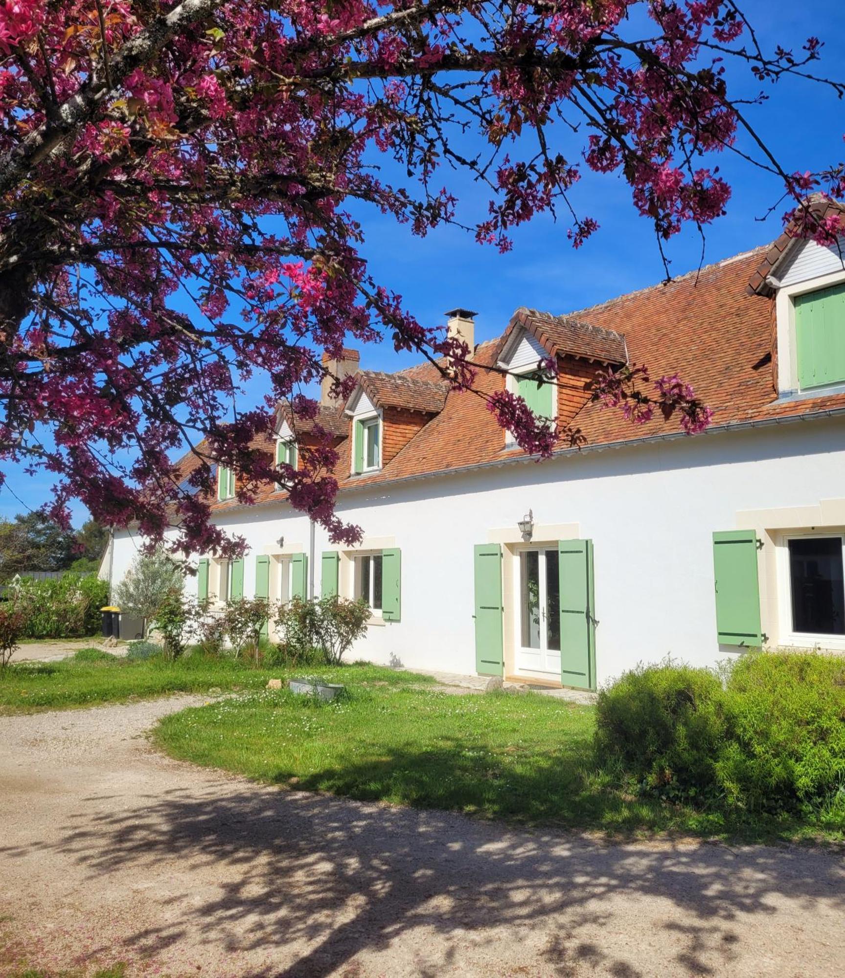 L Amalia Au Coeur Des Chateaux De La Loire Et Du Zoo De Beauval Sambin Εξωτερικό φωτογραφία
